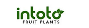 intoto-new-logo