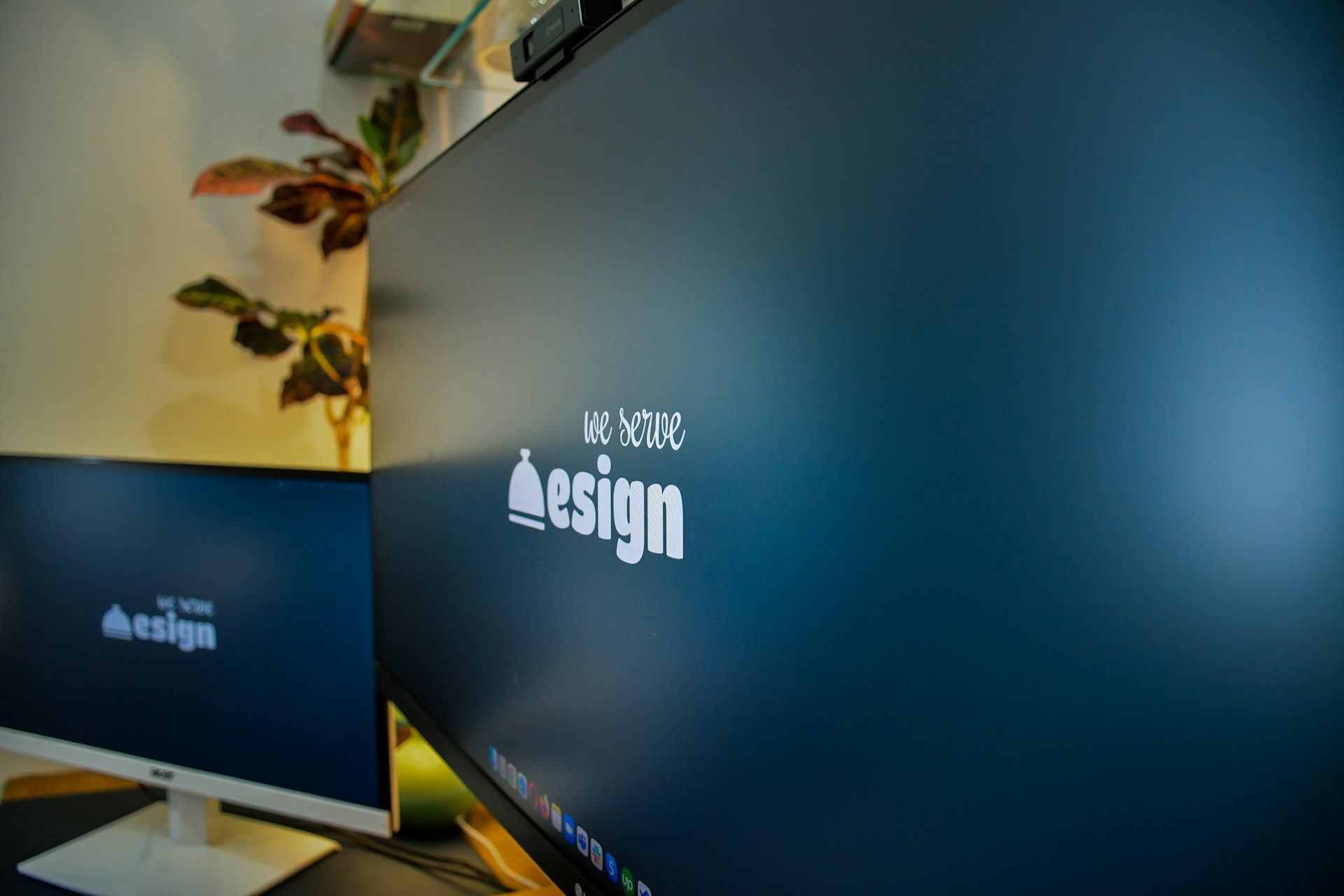 ajay-gorecha-tsxx0_EjcQM-unsplash (1)